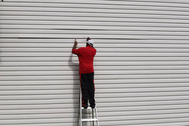 Best Siding Removal and Disposal  in Coldwater, MI
