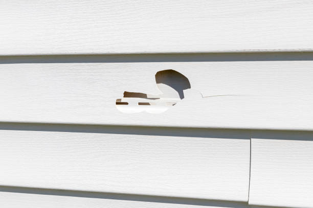 Best Aluminum Siding Installation  in Coldwater, MI