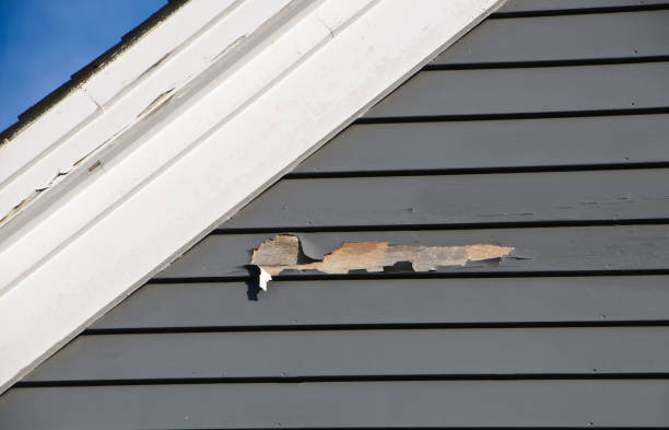  Coldwater, MI Siding Installation Pros