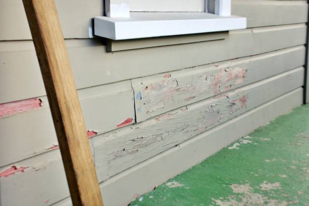 Best Stucco Siding  in Coldwater, MI